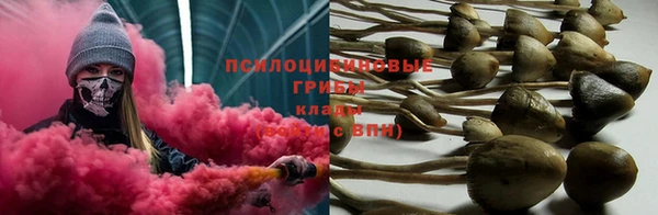 PSILOCYBIN Краснослободск
