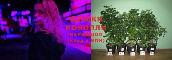 PSILOCYBIN Краснослободск