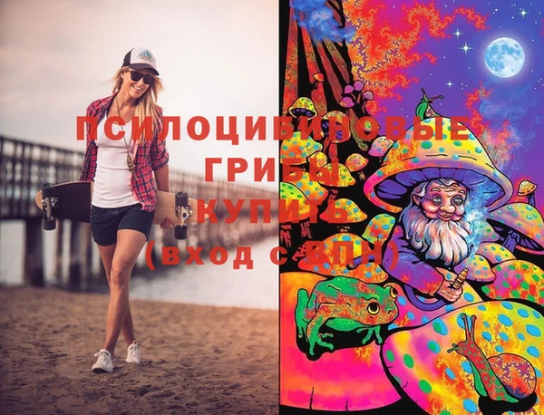 PSILOCYBIN Краснослободск