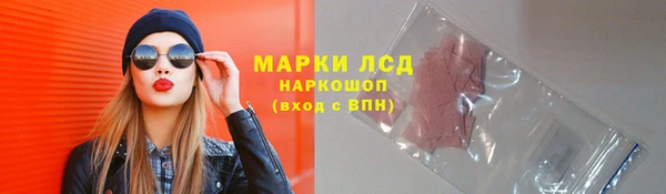 молекула духа Костерёво