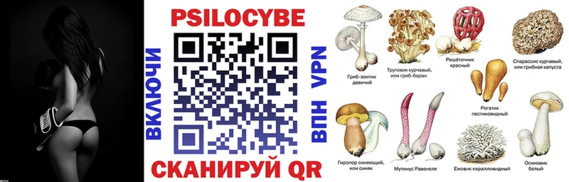 Псилоцибиновые грибы прущие грибы  Купить  Железногорск-Илимский 